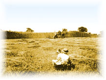 Fields of Dreams